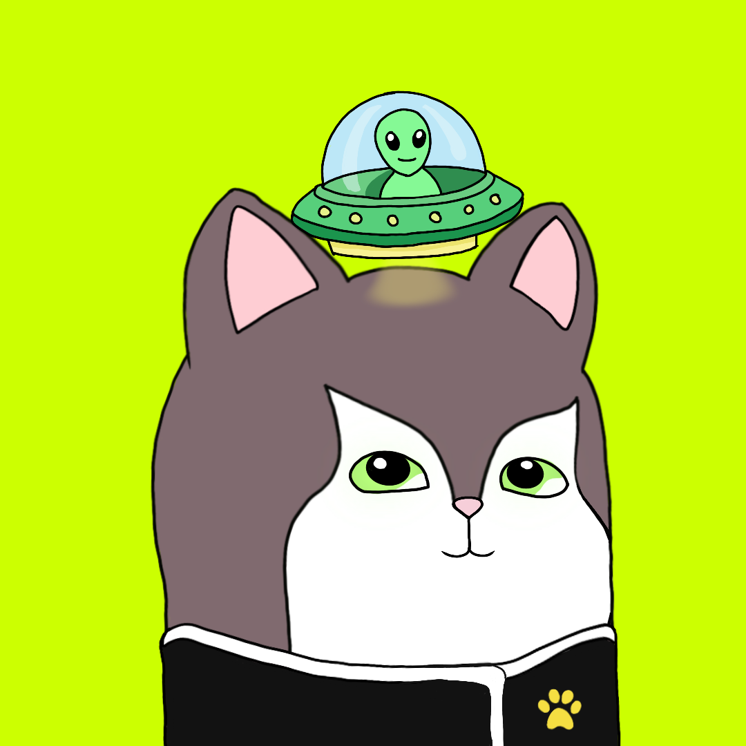CitCat